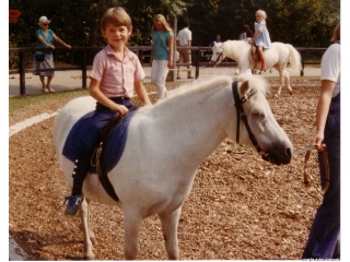 pferd1